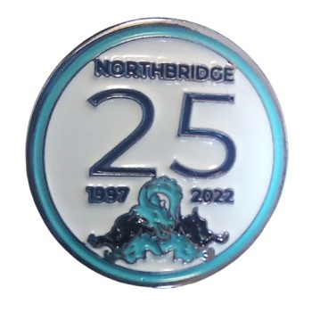 Metal Badge Pin