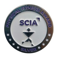 Metal Badge Pin