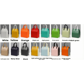 Cooler Bag