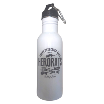  600ml Stainless Steel Water Bottle (white)