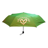 21 Inch Folding Umbrella
