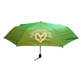 21 Inch Folding Umbrella