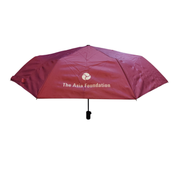 21 Inch Folding Umbrella