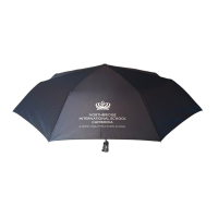 21 Inch Folding Umbrella