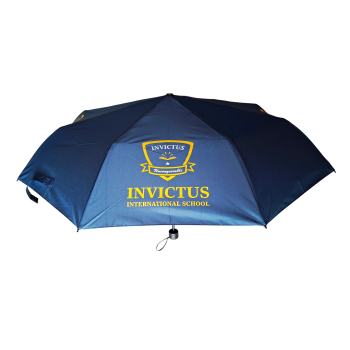 21 Inch Folding Umbrella