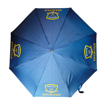 21 Inch Folding Umbrella