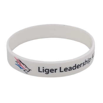 Silicone Wristband