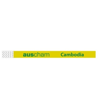 TYVEK Paper Event Wristband