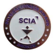 Badge Pin Bronze