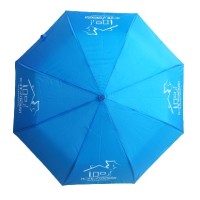 21 Inch Folding Umbrella