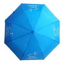 21 Inch Folding Umbrella