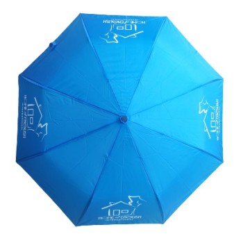 21 Inch Folding Umbrella