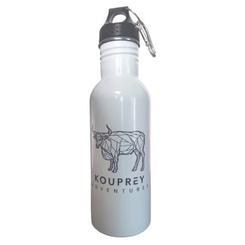  600ml Stainless Steel Water Bottle (white)